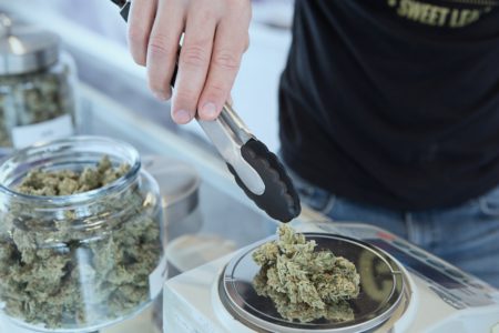 Top Careers Cannabis industry to Pay Attention to in 2020